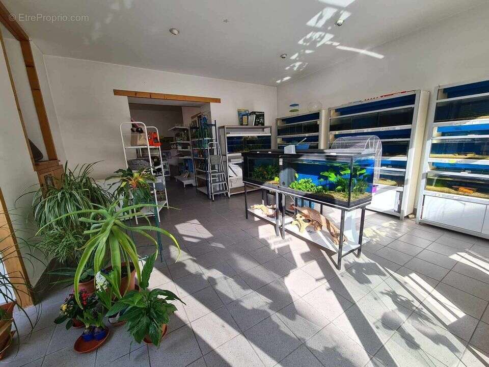 IMMEUBLE PAUILLAC CENTRE 2 ETAGES A RENOVER - Maison à PAUILLAC