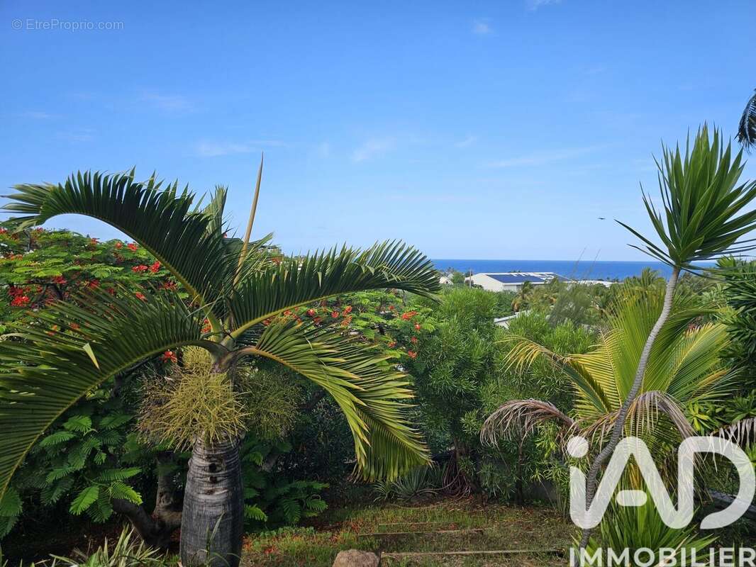 Photo 5 - Maison à SAINT-PAUL