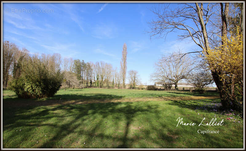 Maison à vendre 6 pièces 137m², LA NEUVILLE SUR ESSONNE (45), Vallée de l'Essonne, 4 chambres, Garage, Terrain de 6700m², Piscin - photo 4
