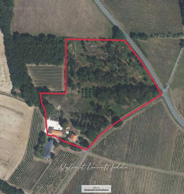 Maison bourgeoise en pierre renovee avec piscine, dependances et plus de 3,6 hectares de terrain - photo 19