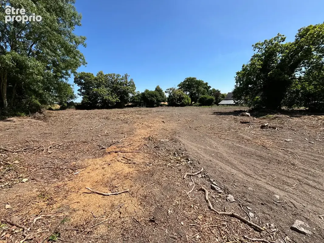 Terrain  constructible - Trelivan - photo 4