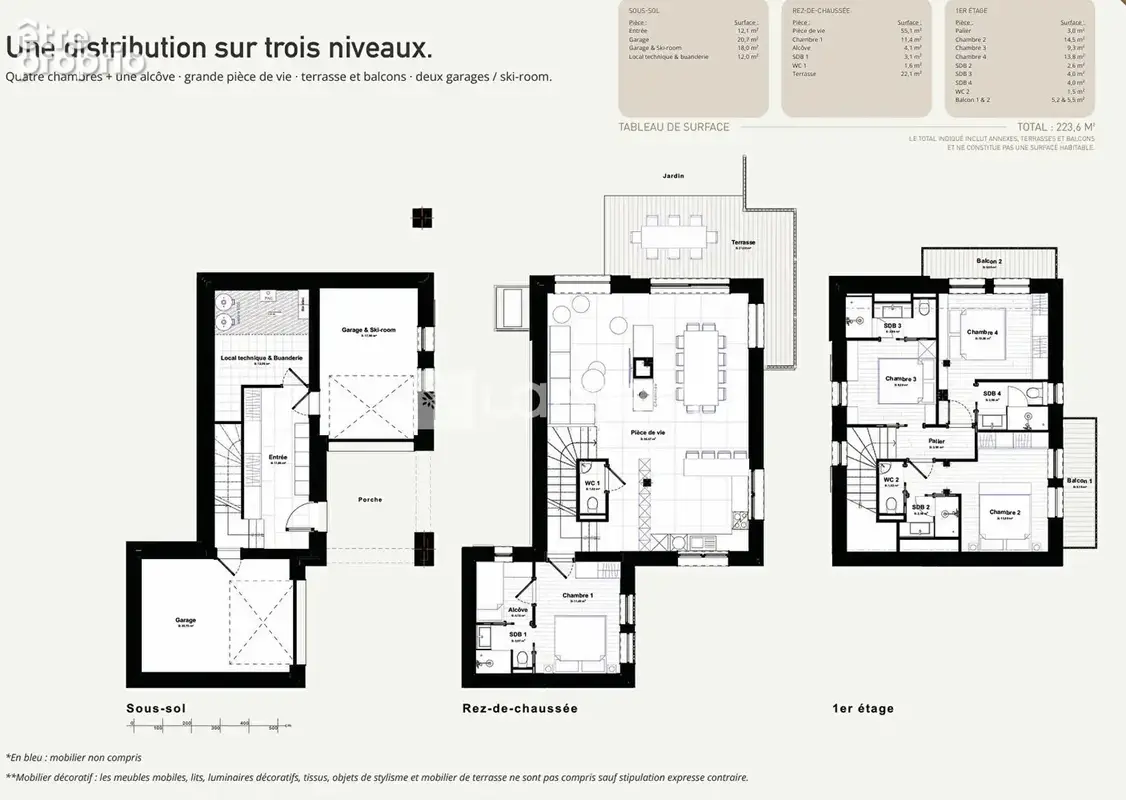 73210 PEISEY-NANCROIX Superbe chalet150m², terrasse, garages et jardin - photo 5