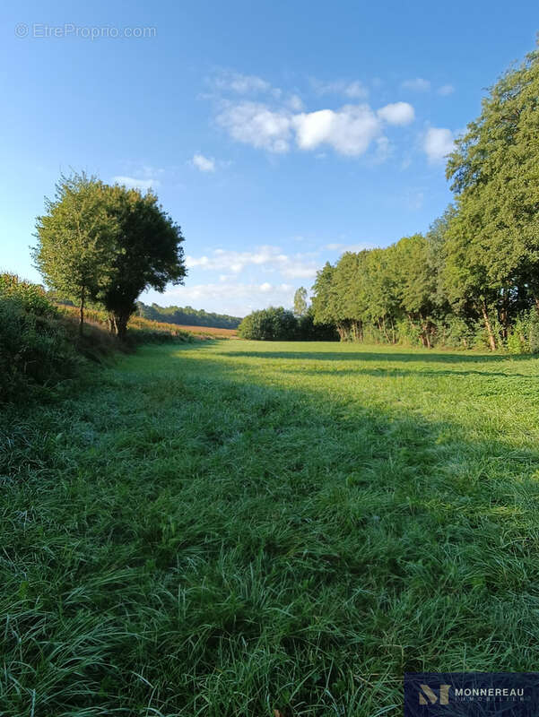 Terrain à CONDEON