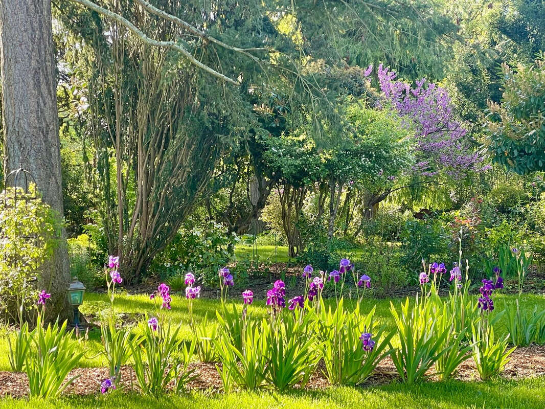Maison à SAINT-PRYVE-SAINT-MESMIN