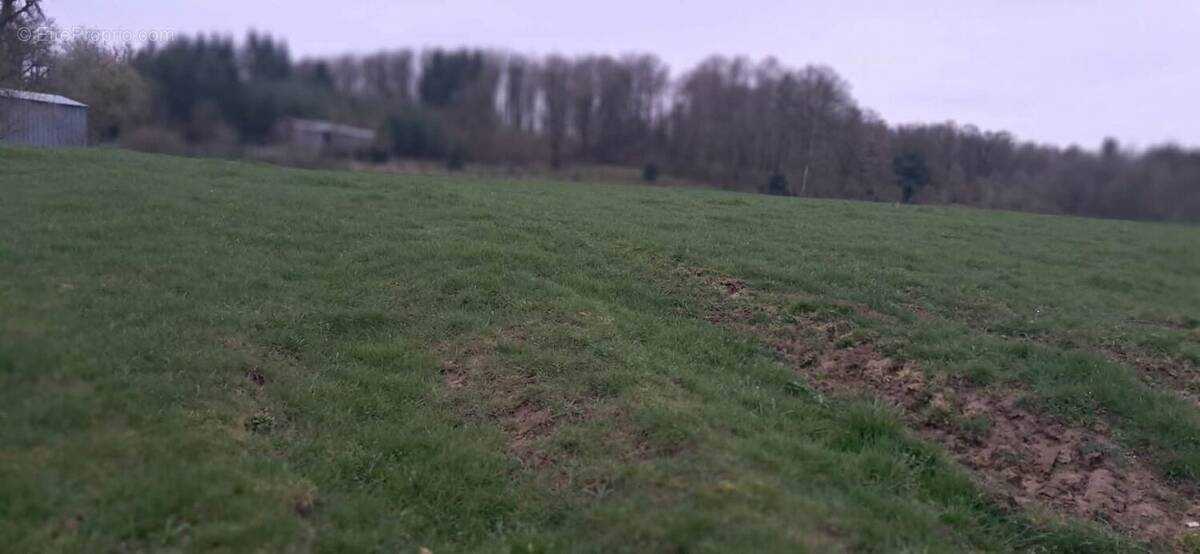 Terrain à GERNELLE