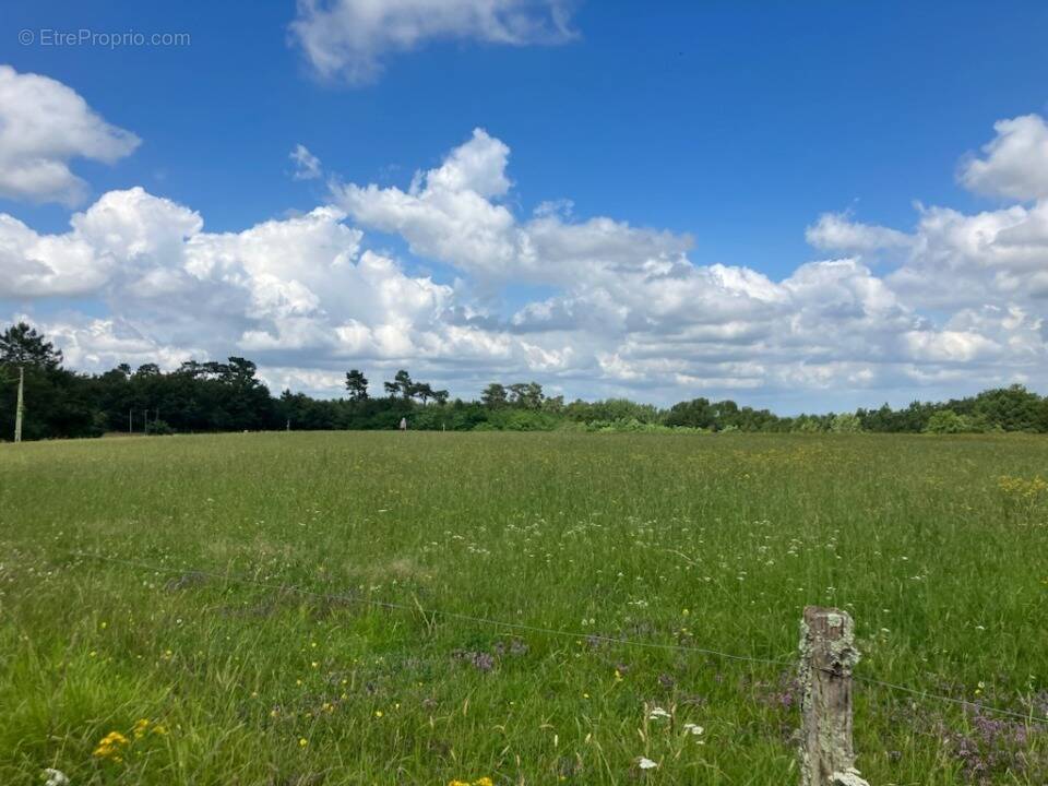 Terrain à MONTLIEU-LA-GARDE