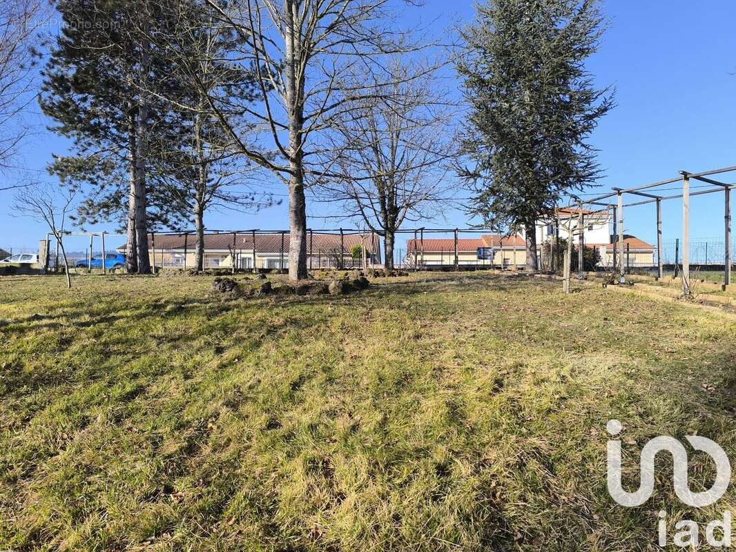 Photo 3 - Terrain à NEUVILLE