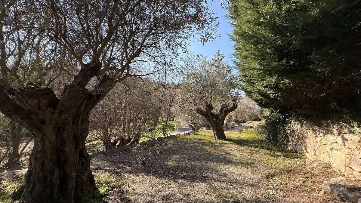 Maison à ROQUEFORT-LES-PINS