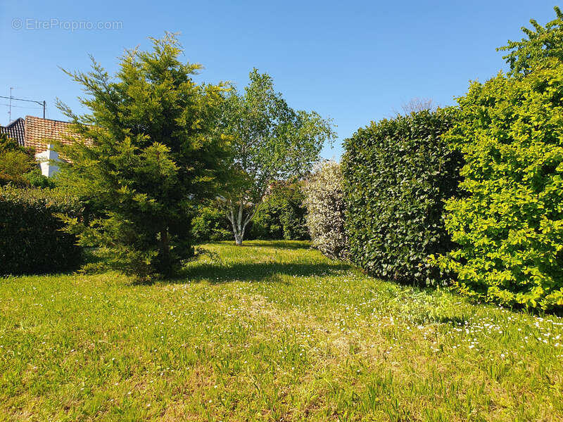 Maison à ECKBOLSHEIM
