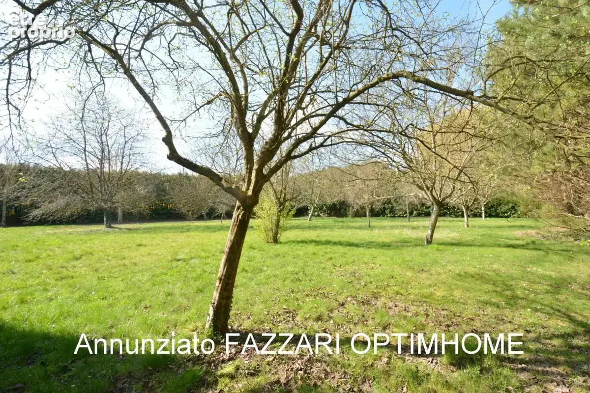 Au cœur d’un domaine clos de 1,5 hectare, ce moulin rénové offre un cadre unique entre étang, rivière et nature préservée - photo 14