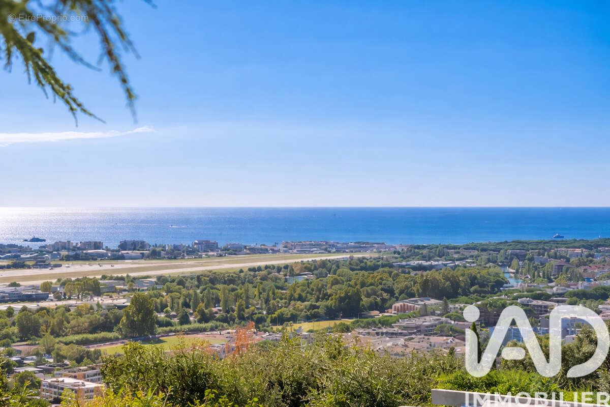 Photo 6 - Maison à MANDELIEU-LA-NAPOULE