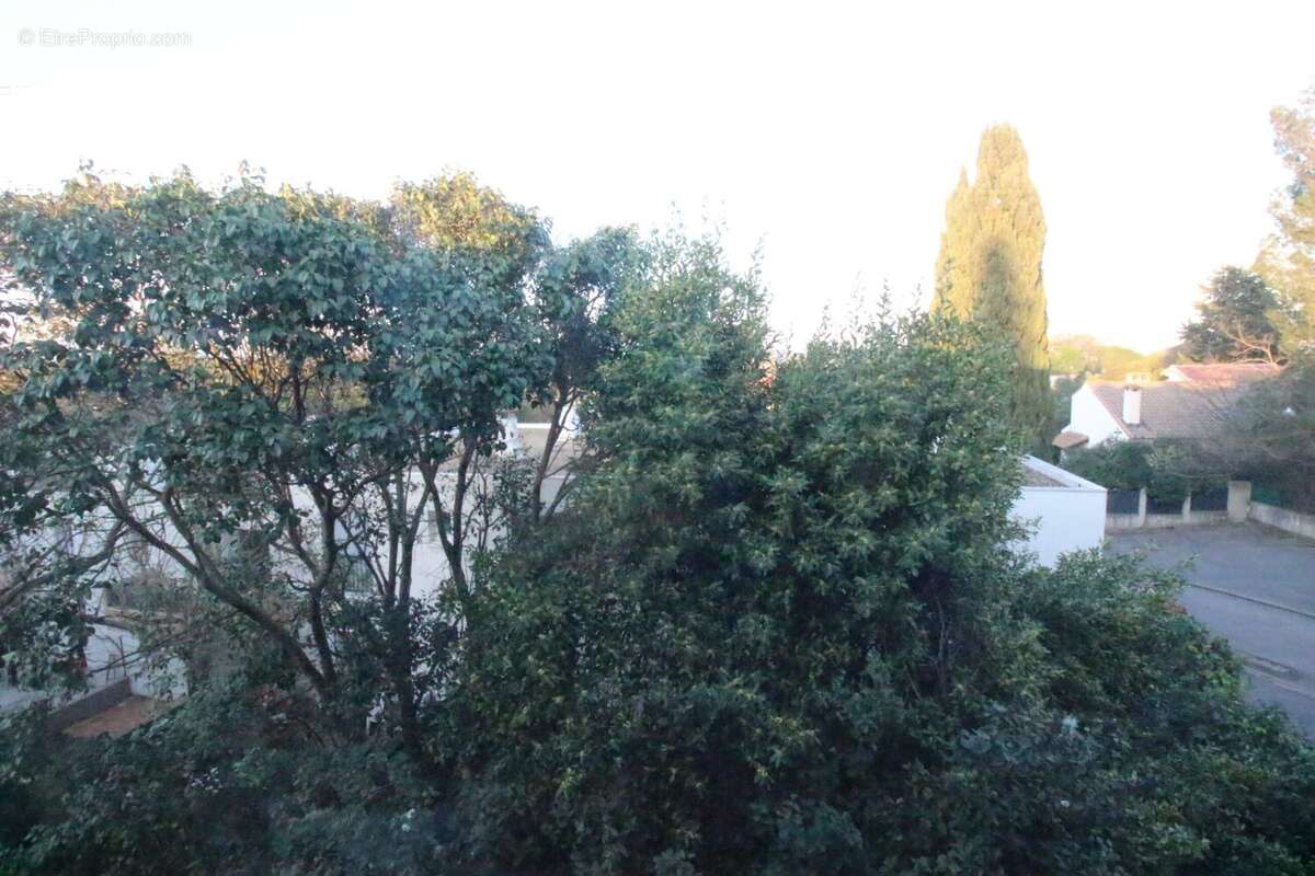 vue - Appartement à MONTPELLIER