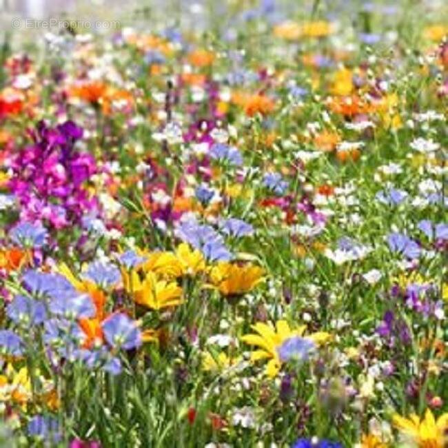 Terrain à CHAMBOURG-SUR-INDRE