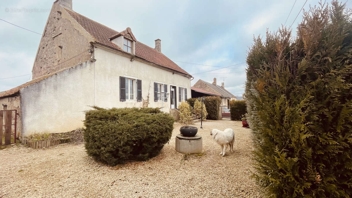 Murs et Fonds commerciaux situés à CUSSY-LES- FORGES   154 600 €. - photo 2