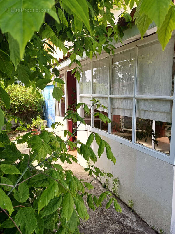 Maison à BAZAS