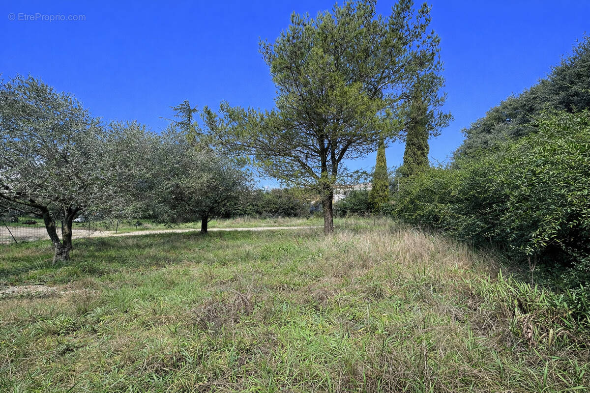Terrain à SAINT-SIFFRET