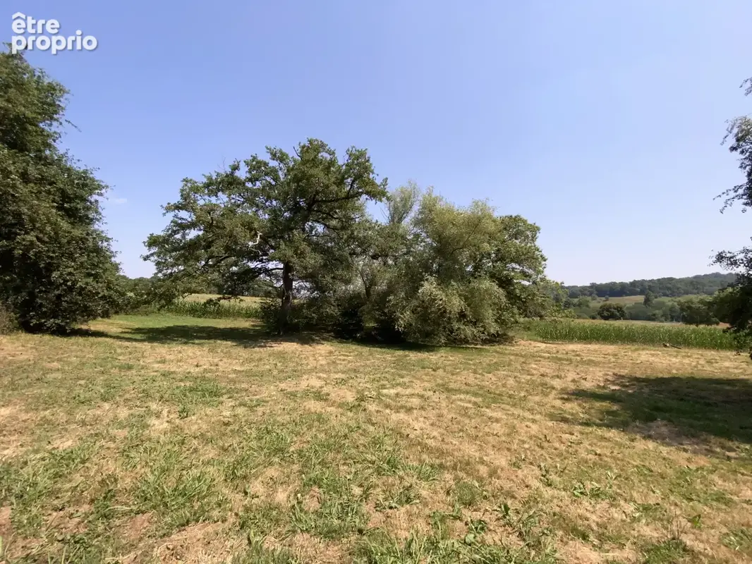 ARISTIMMO - Ferme à Monein - photo 17