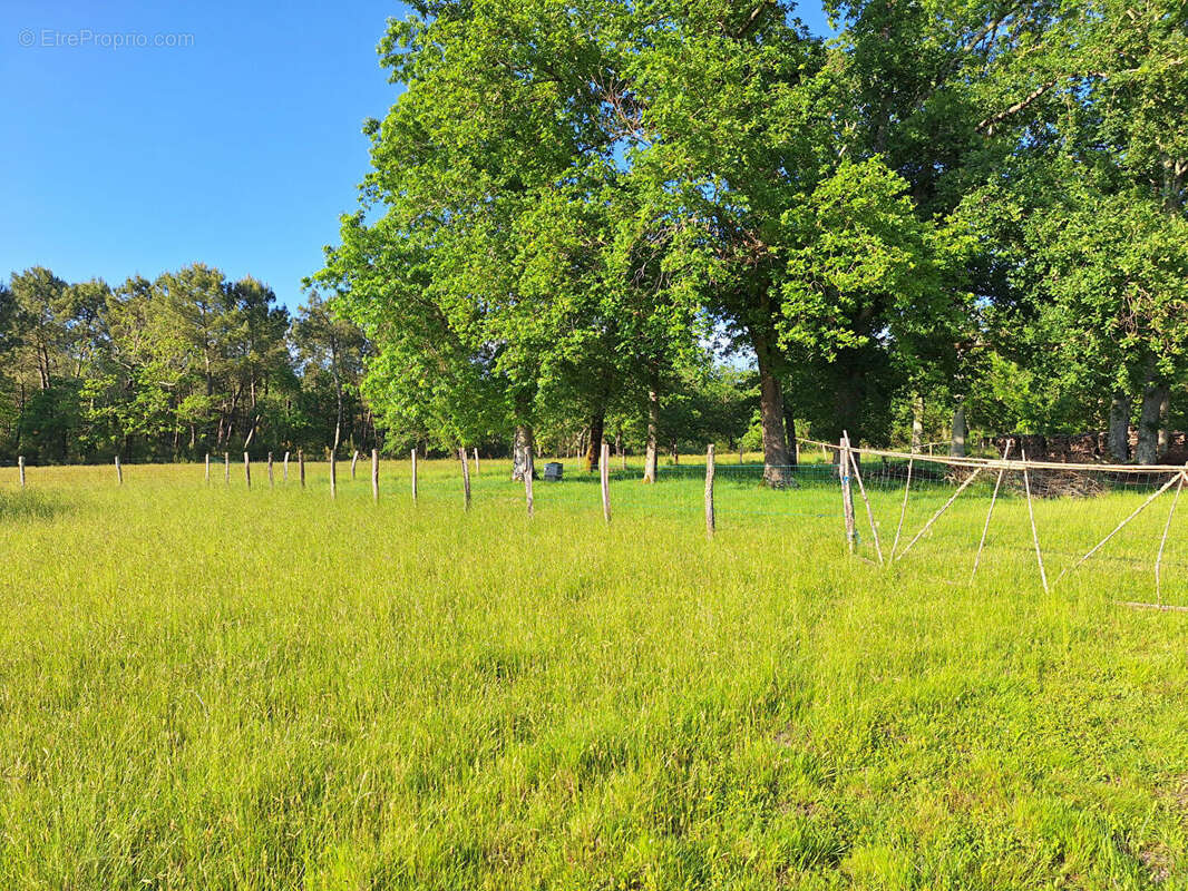 Maison à SAUGNACQ-ET-MURET