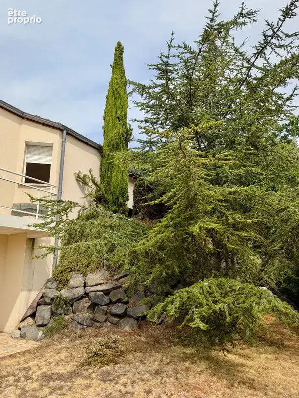 Ceyrat - Villa 240 m² avec extérieurs - photo 1