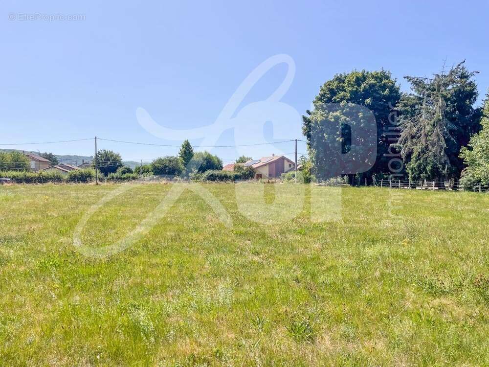 Terrain à bâtir (Lot 1)