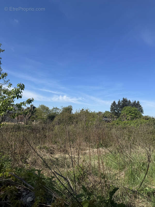 Maison à VARENNES-SUR-ALLIER