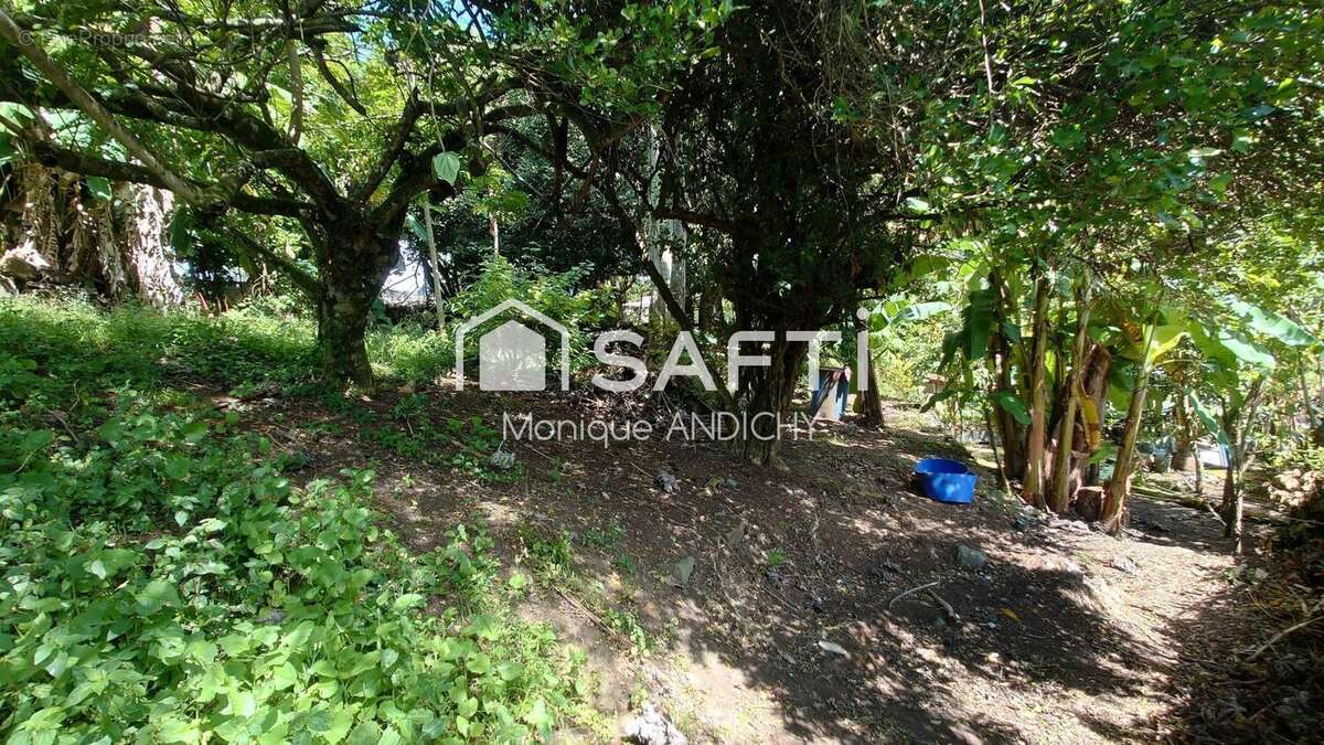 Photo 3 - Terrain à FORT-DE-FRANCE