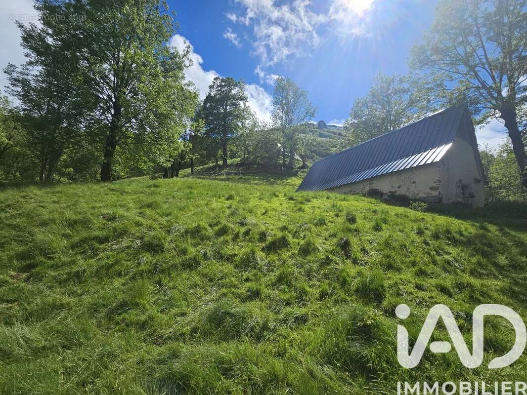 Photo 3 - Maison à ARRENS-MARSOUS