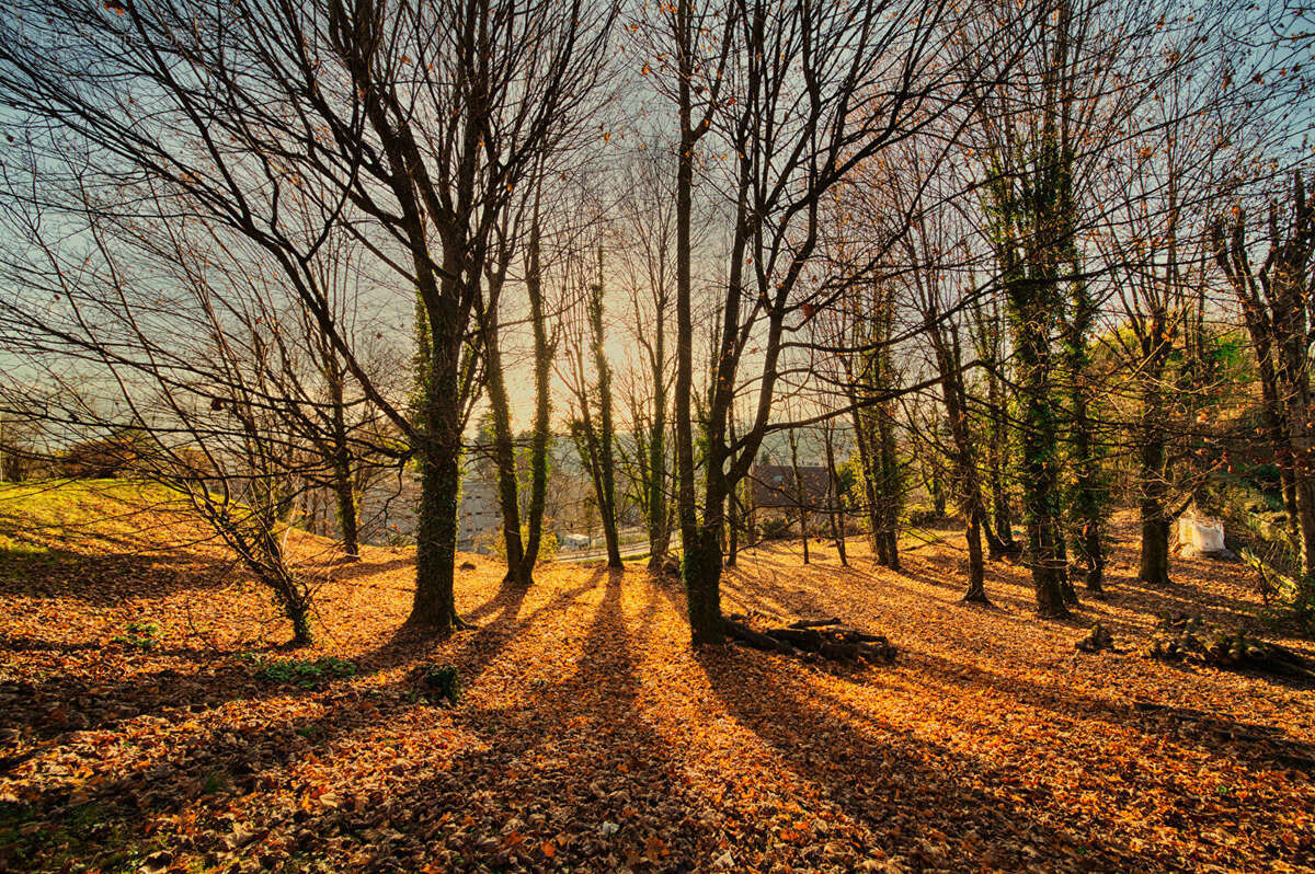 Appartement à VOIRON