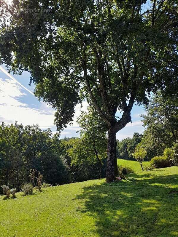 Paradis retrouvé ... au coeur de la nature - photo 6