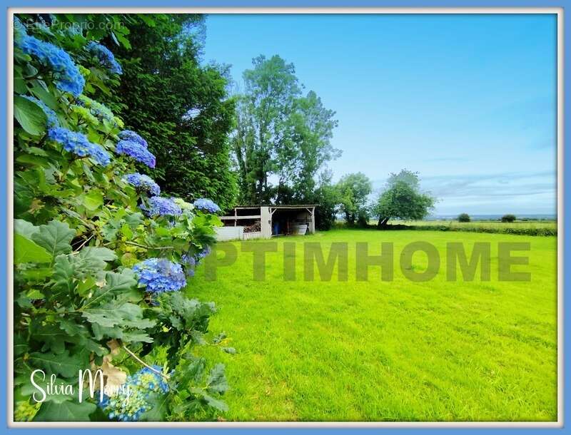 Maison à vendre 76 m² avec grand terrain PLOUDIRY (29) - photo 3