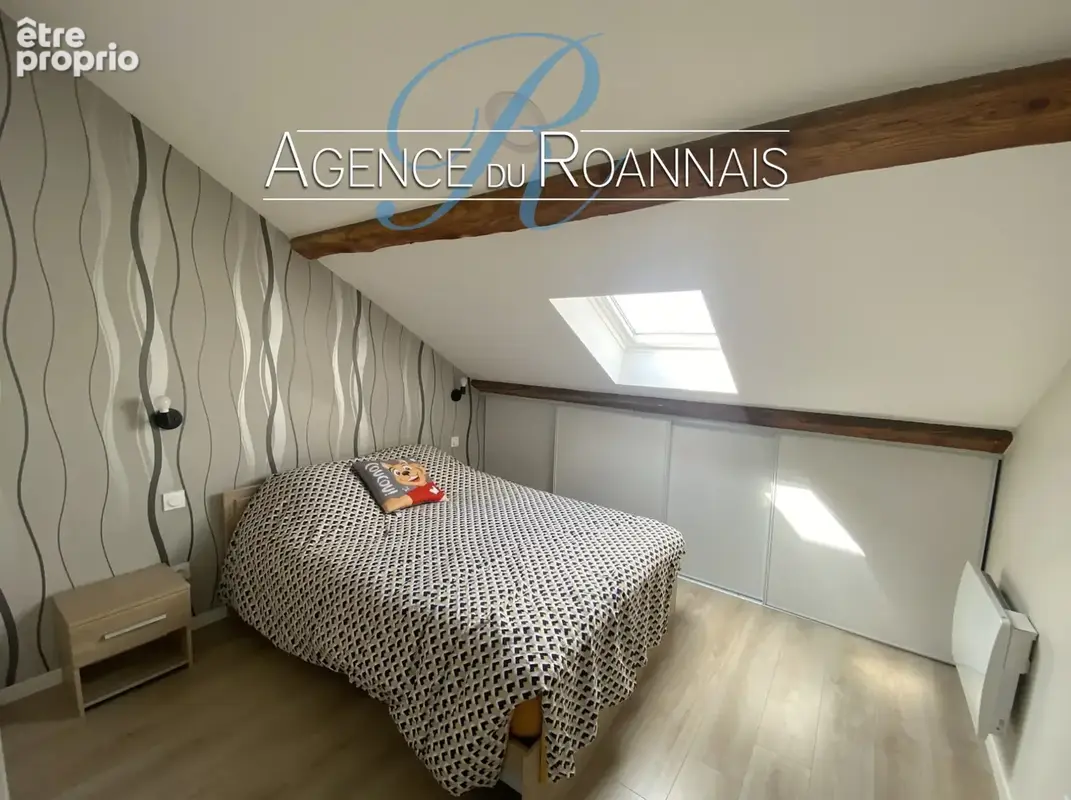Appartement de Type 2 à vendre à ROANNE au dernier étage d'une petite copropriété entièrement rénové - photo 5