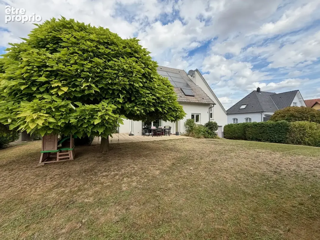 TRUCHTERSHEIM - véritable maison d'architecte sur 12,47 ares sans vis-à-vis et plein champs - photo 18