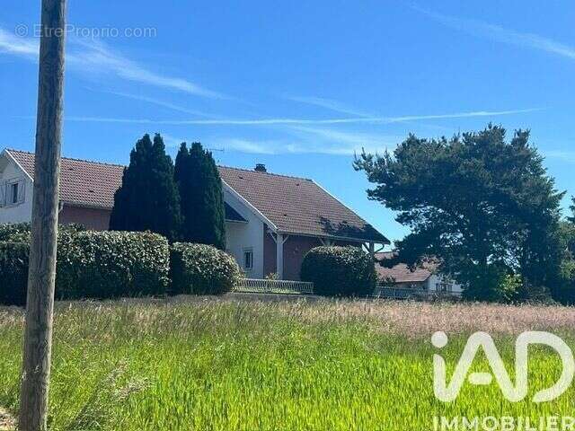 Maison 190 m² à Rambervillers  - photo 2