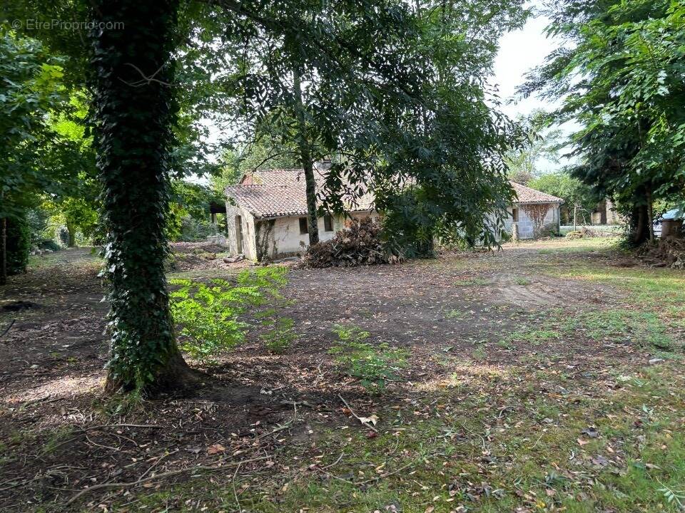 Terrain à AUDENGE