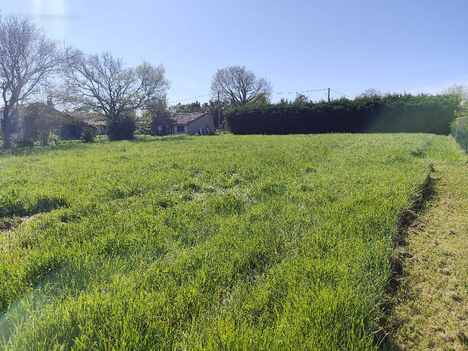 Terrain à BLAIGNAN