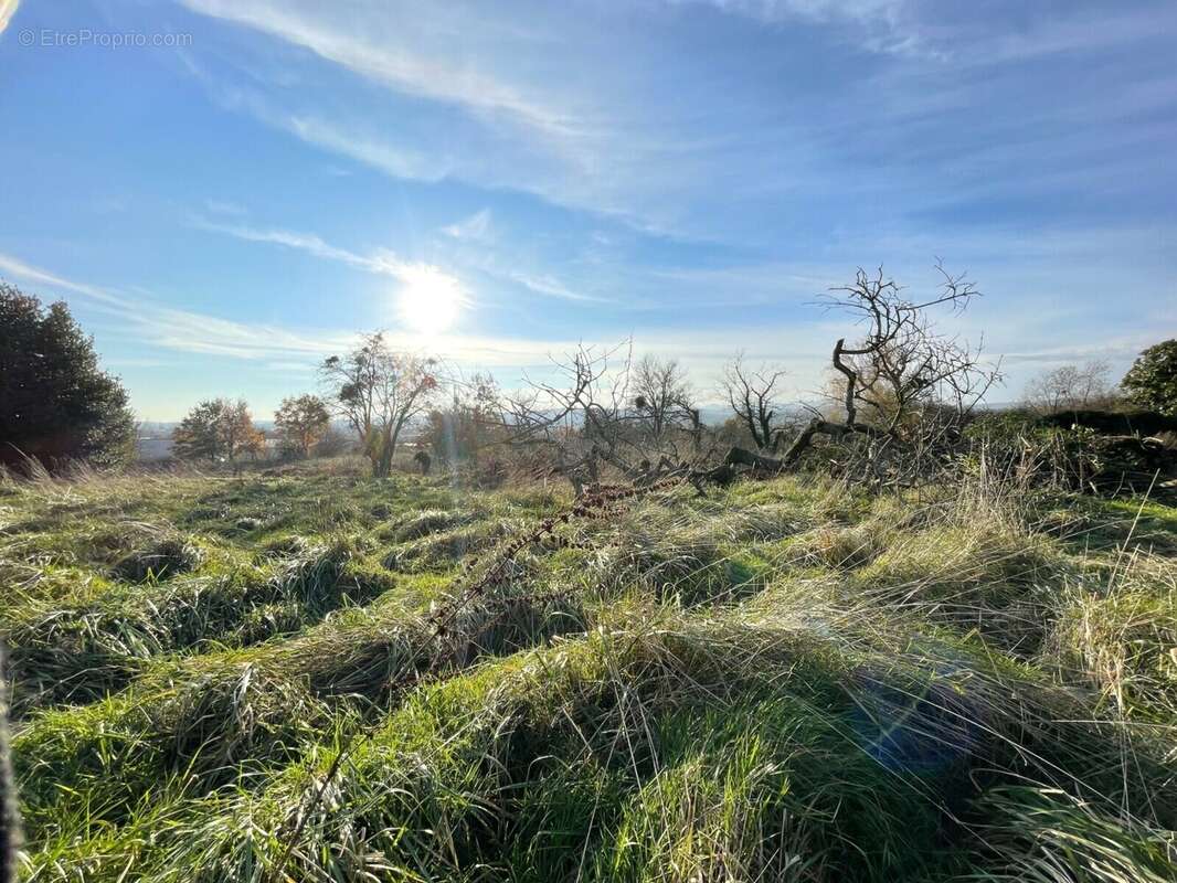 Terrain à CHARNAY-LES-MACON