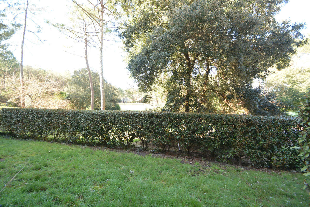 Appartement à LACANAU