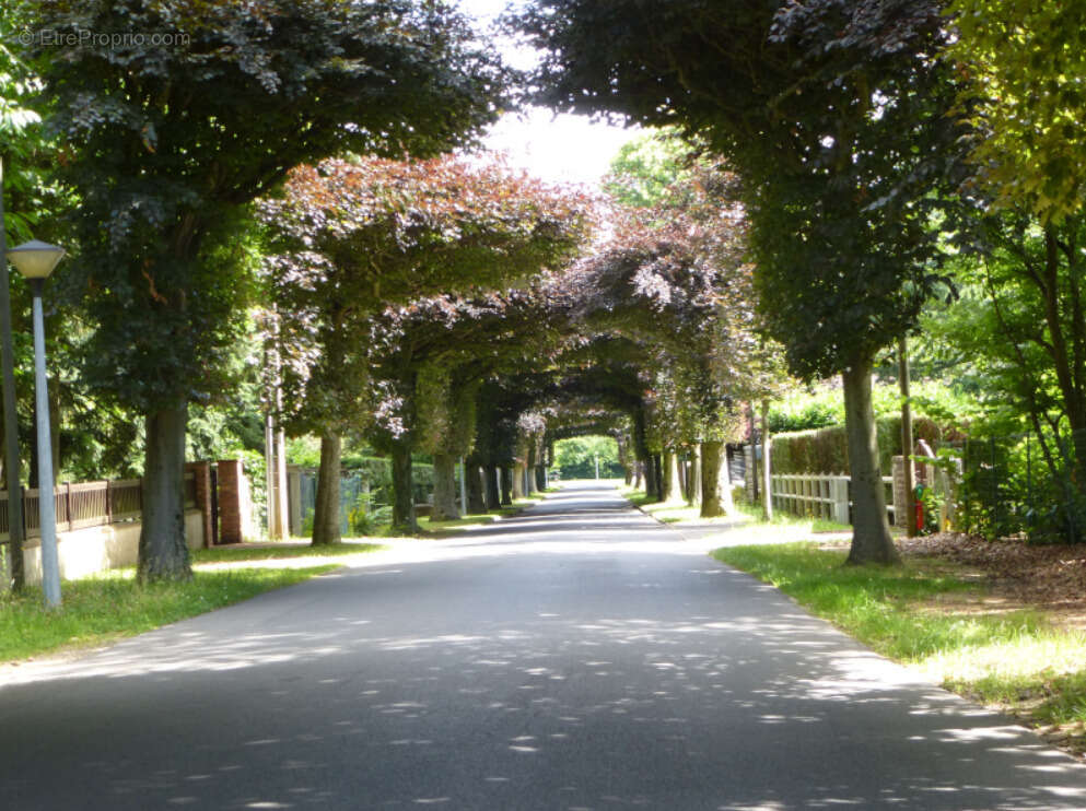 Terrain à SAINT-FARGEAU-PONTHIERRY