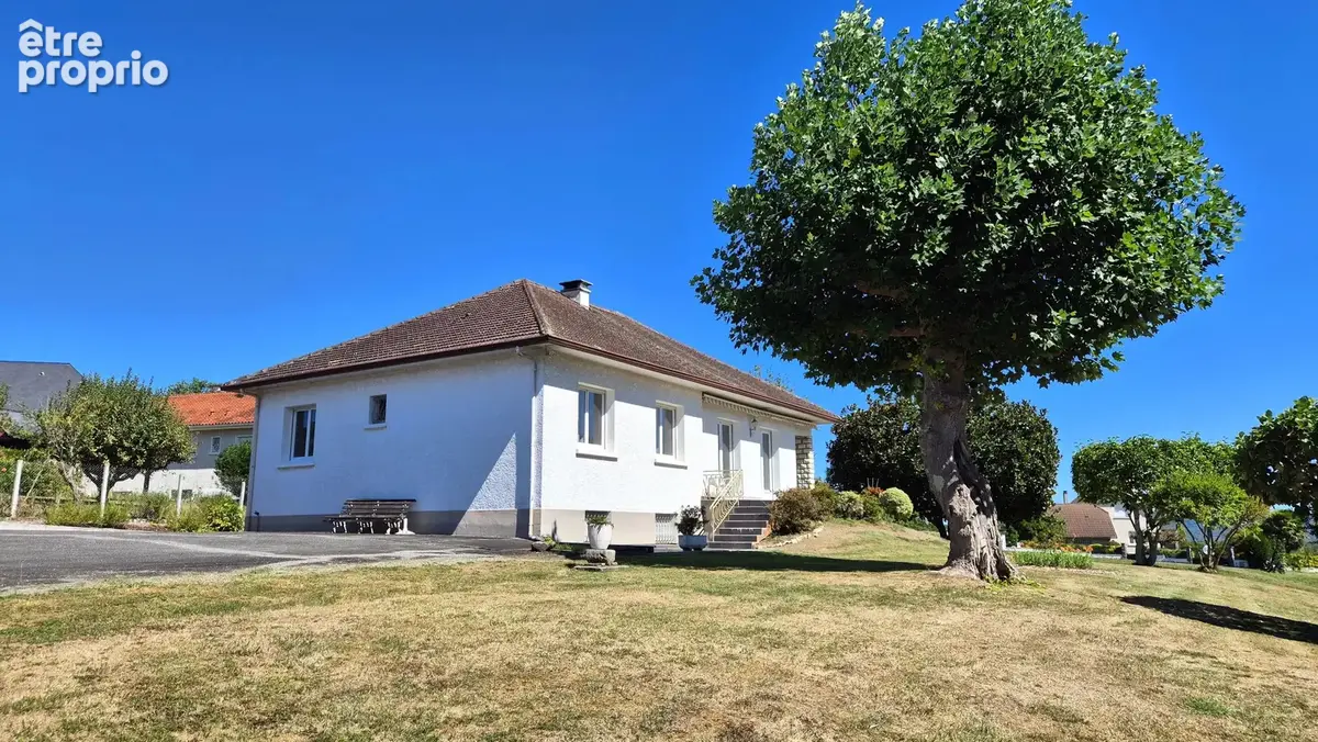 ARROS-DE-NAY, A VENDRE,  Maison de 168,5 m² sur une parcelle de 2063 m² - photo 3