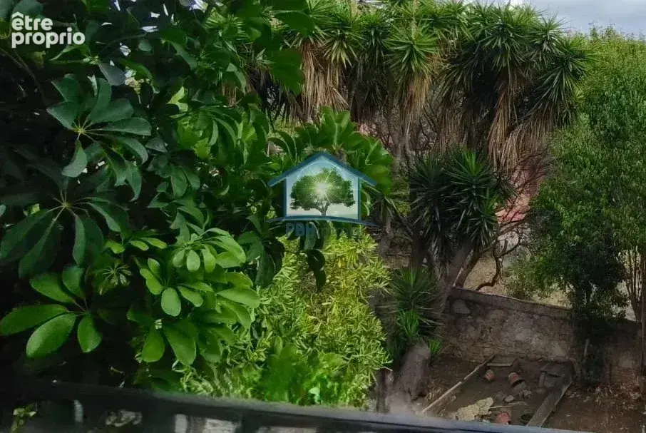 Toulon Ouest - Grande demeure divisée en deux appartements - photo 22