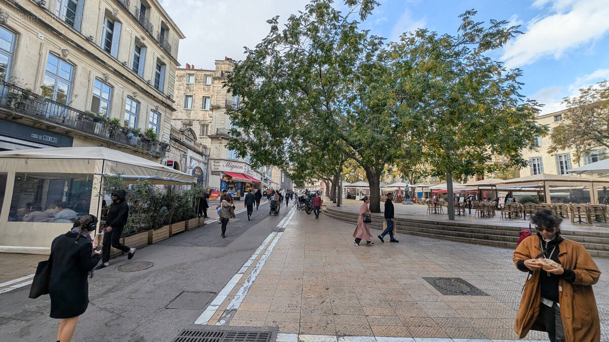 Commerce à MONTPELLIER