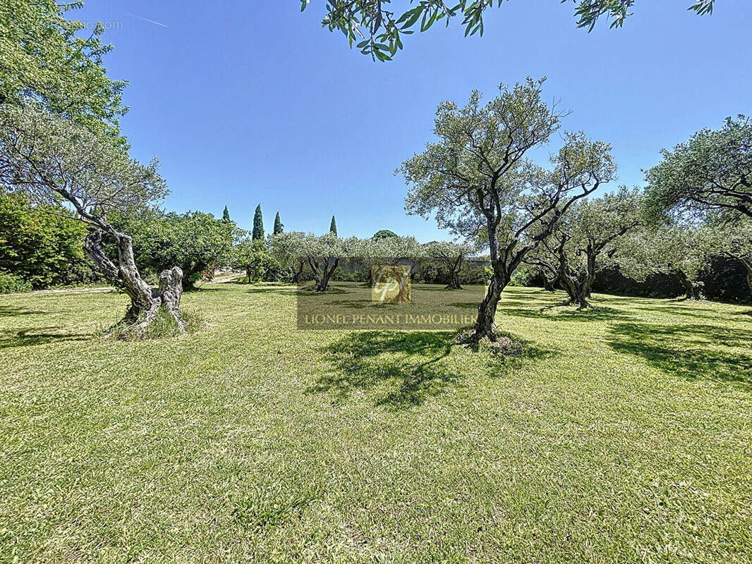 Terrain à PERNES-LES-FONTAINES