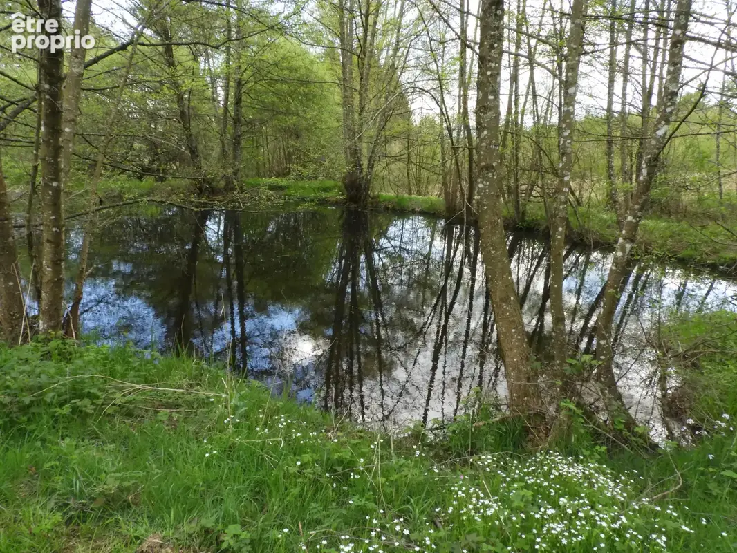 Maison en bois à rénover - secteur calme et naturel - Saint-Rémy-sur-Durolle - photo 11
