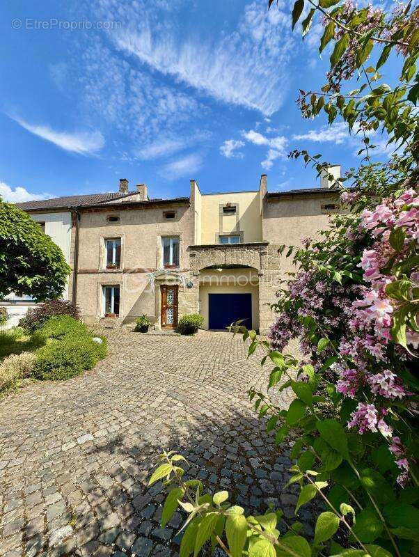 Au cœur de Porcelette  Maison de Village Atypique 260 m², 13 pièces, 7 Chambres, Garage, Terrain de 14 ares - photo 3