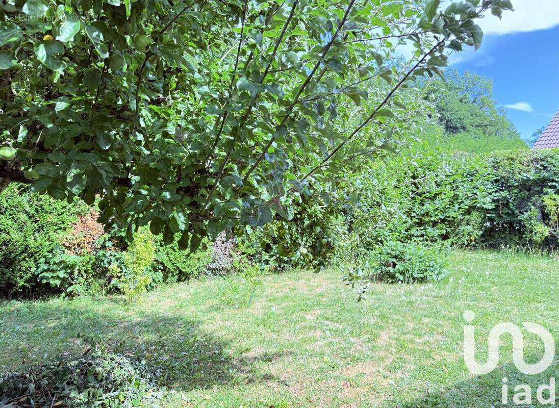 Photo 9 - Maison à AUDINCOURT