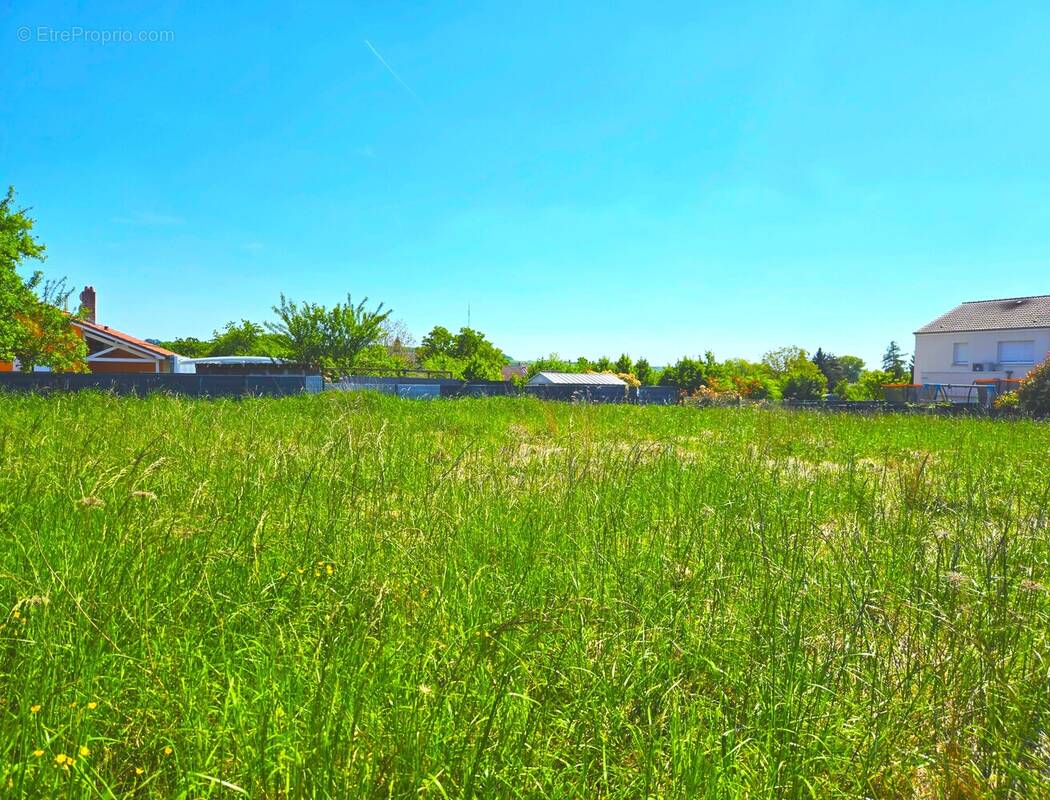 Terrain à METZERESCHE