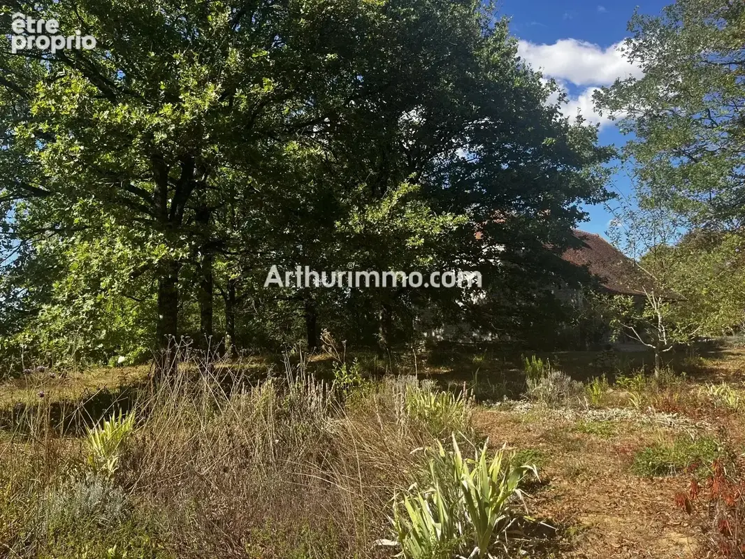 Ferme bressane à colombages – 201 m² – 8 pièces – terrain 2780m² - photo 27