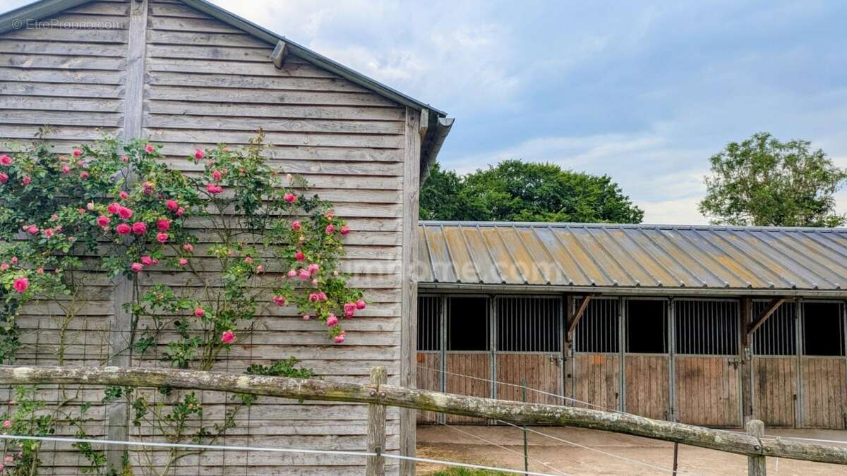 Le privilège de vivre avec ses chevaux, sur 1,9ha au cœur du Perche - photo 5