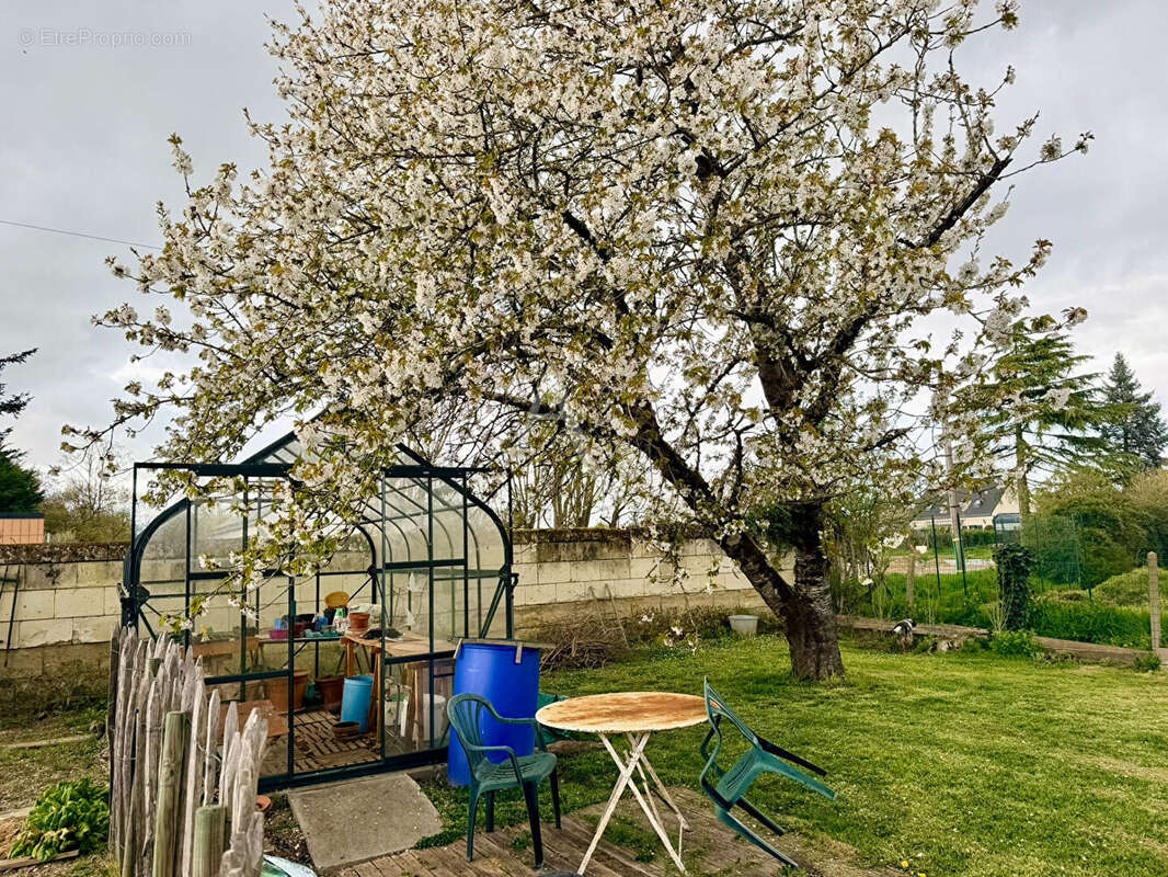 Maison à VARENNES-SUR-LOIRE