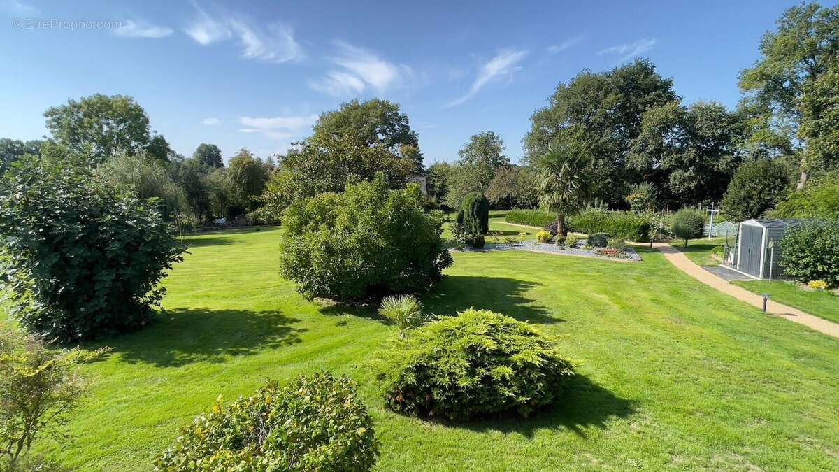 Photo 4 - Maison à ARON